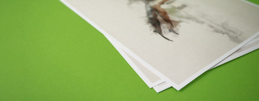 Flyer 1/3 A3 (140 x 297 mm)